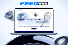 FeedB2B | UI UX design, Landing page development